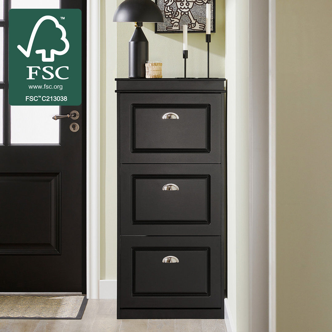 Marlow Home Co. Moriah 12 Pair Shoe Storage Cabinet Black/Silver 12