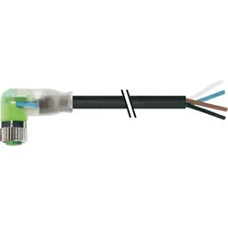 Murrelektronik Anschlussleitung 7000-08102-6311000
