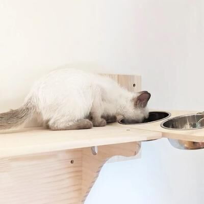 Uplift Essentials Wall Mounted Cat Feeding Station With Double Stainless Steel Bowls Wall Mounted Cat Feeding Station With Double Stainless Steel Bowls