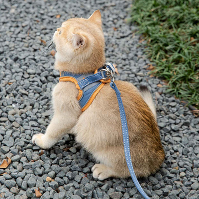 PetsAreLife Luminous Cat Vest Blue 2XL