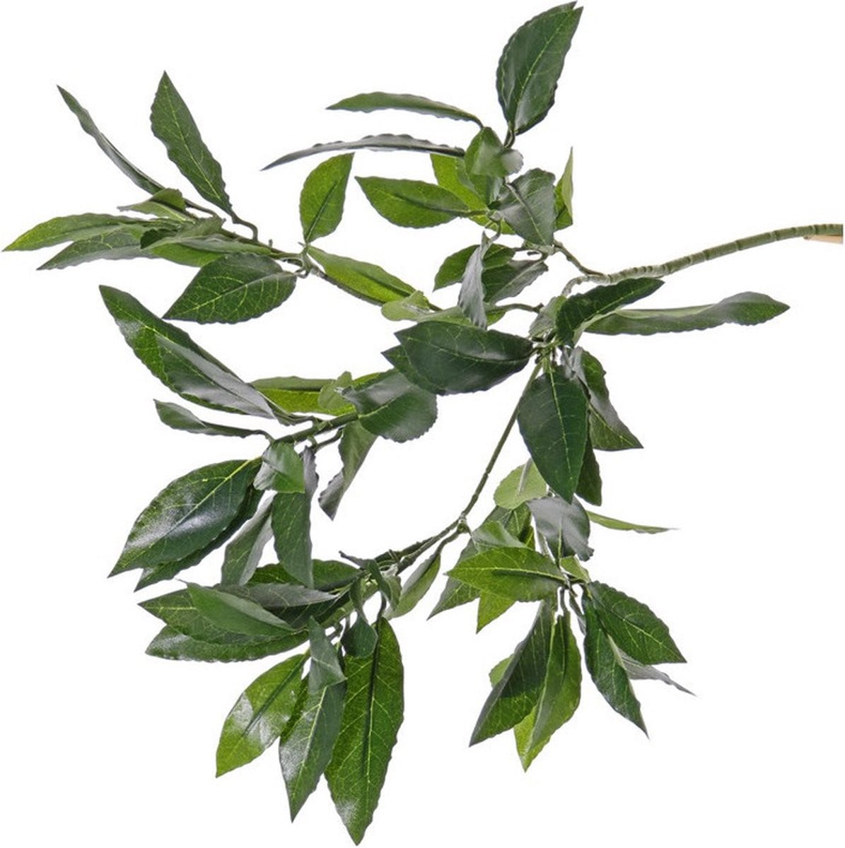 Bellatio Flowers & Plants Kunstplant Laurierblad - Groen - 48 cm
