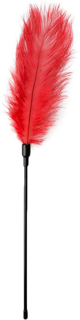 Easytoys Fetish Collection Chatouilleur de plumes rouges