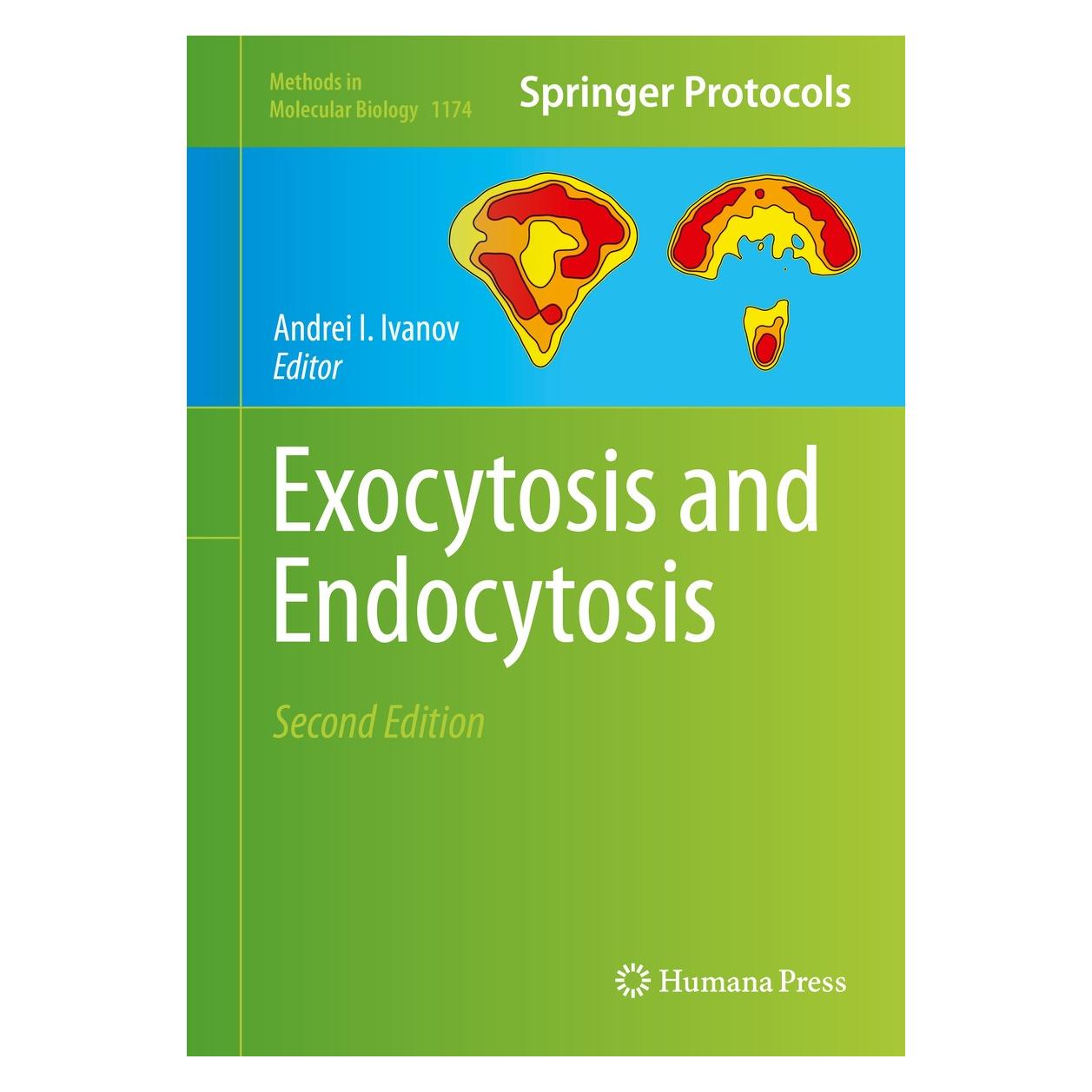 Springer Exocytosis and Endocytosis (Englisch, Hardcover, Andrei I. Ivanov) (9781493909438)