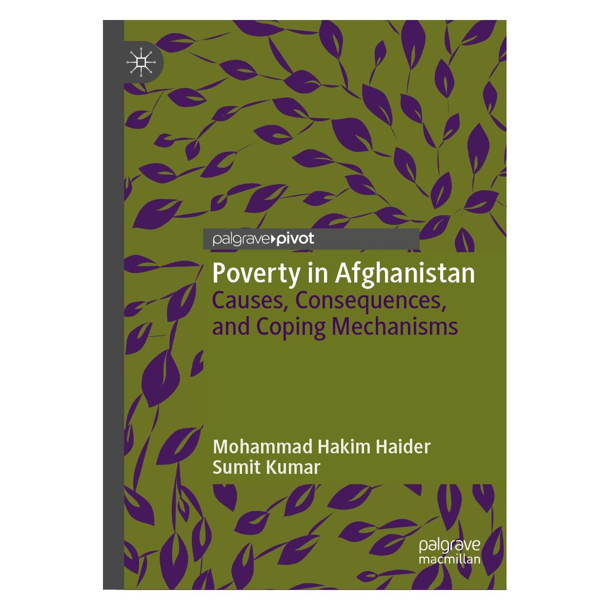 Springer Poverty in Afghanistan (9783030108588)