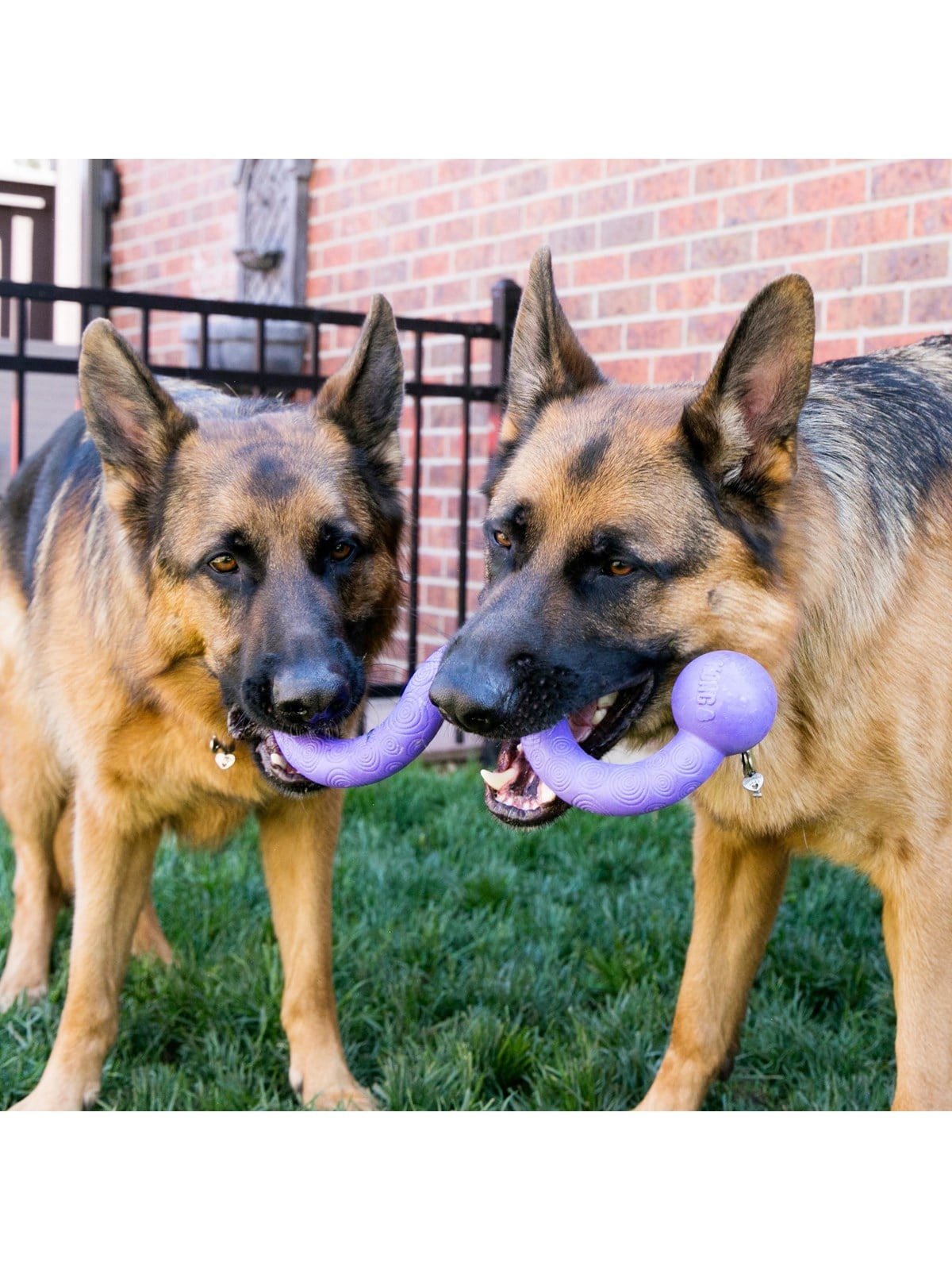KONG Hundespielzeug Ogee Stick 30cm
