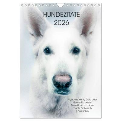 Hundezitate 2026 (Wandkalender 2026 DIN A4 hoch), CALVENDO Monatskalender