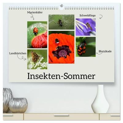 Insekten-Sommer (hochwertiger Premium Wandkalender 2027 DIN A2 quer), Kunstdruck in Hochglanz
