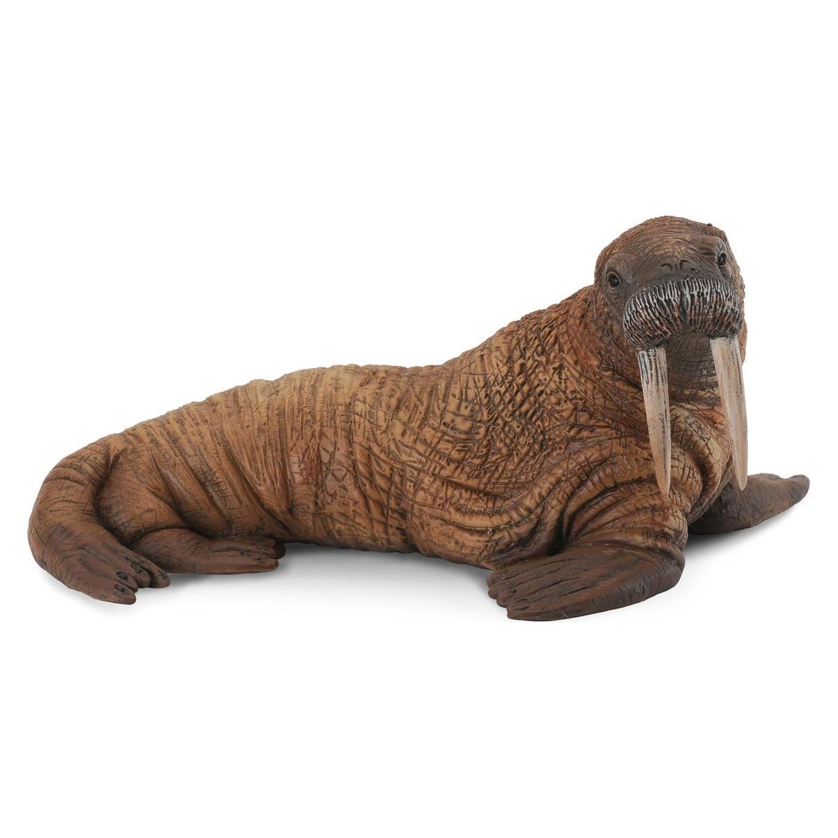 Collecta Walross (88569)
