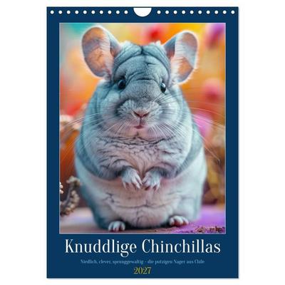 Knuddlige Chinchillas (Wandkalender 2027 DIN A4 hoch), CALVENDO Monatskalender