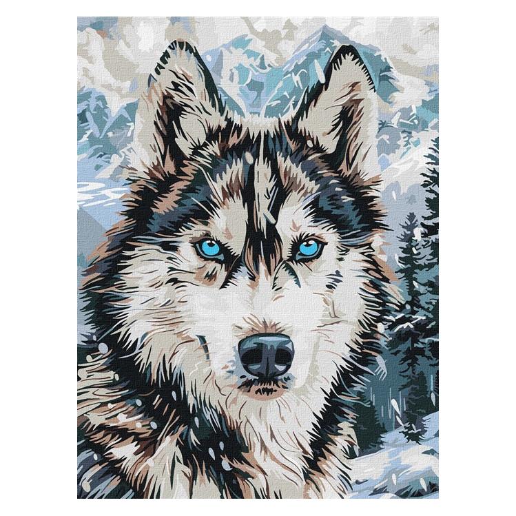 Ideyka Malen nach Zahlen - Augen des Nordens - art selena ua 30 x 40 cm (KHO6842)