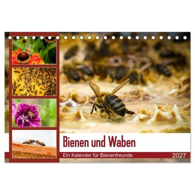 Bienen und Waben (Tischkalender 2027 DIN A5 quer), CALVENDO Monatskalender
