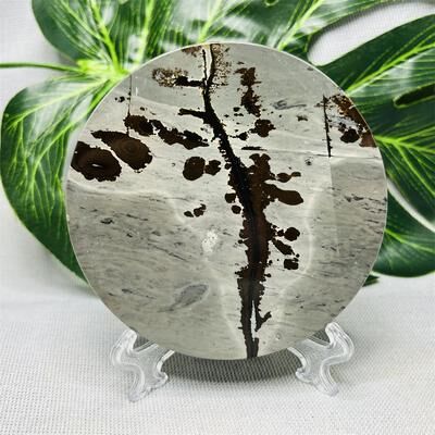 On Spot Shop Hand Polished Natural Rock Picture Stone Round Coasters, Abstract Spiritual Healing Witchcraft Decor, Holiday & Home 6