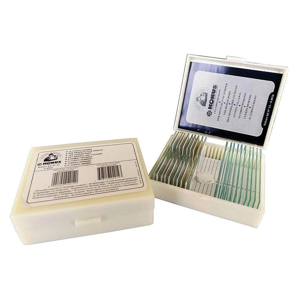 Konus Preparate Set Pathological Human Tissue 1 (10 Stk.) (34314367)