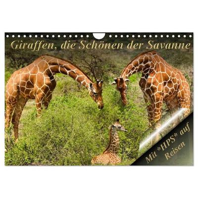 Giraffen, die Schönen der Savanne (Wandkalender 2027 DIN A4 quer), CALVENDO Monatskalender