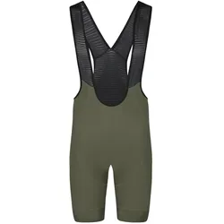Bioracer, Herren, Velohosen, Icon Bibshorts (L), Grün
