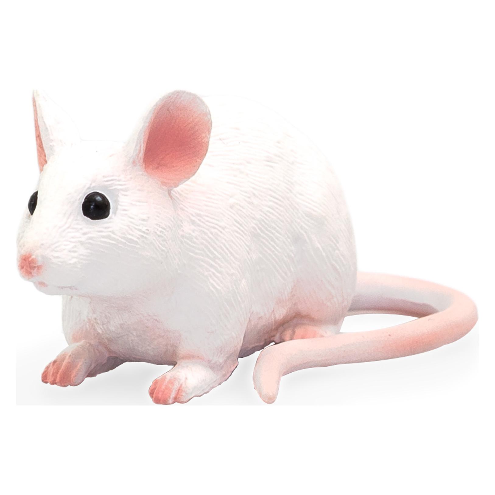 Animal Planet Maus (387235)