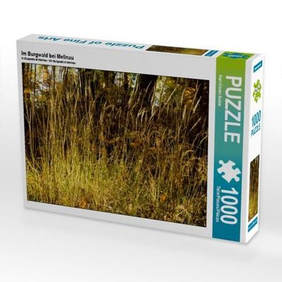 CALVENDO Puzzle Im Burgwald bei Mellnau | 1000 Teile Lege-Größe 64 × 48 cm Foto-Puzzle für glückliche Stunden