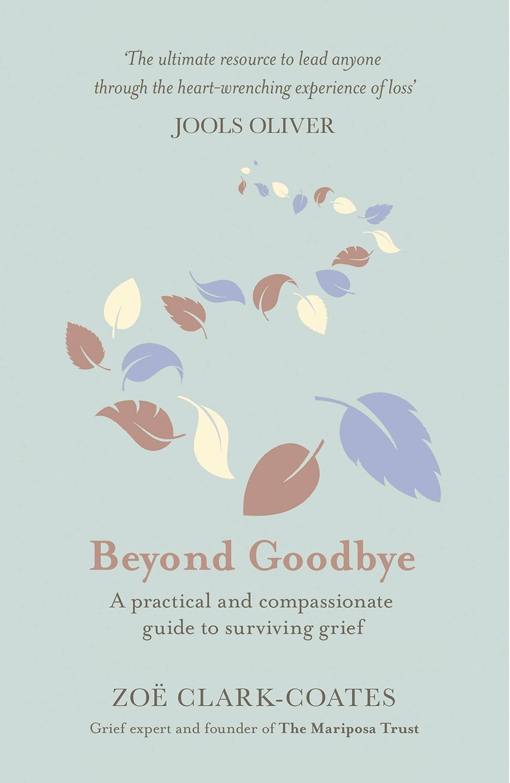 Orion Beyond Goodbye Book by Zoe Clark-Coates – Practical Guide to Grief, Loss & Healing Support