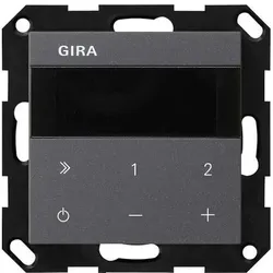 Gira UP-Radio IP 232028