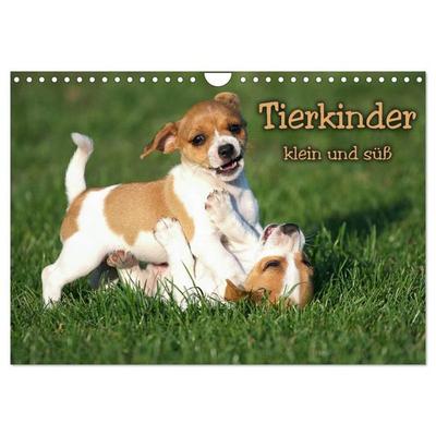 Tierkinder klein und süß (Wandkalender 2027 DIN A4 quer), CALVENDO Monatskalender