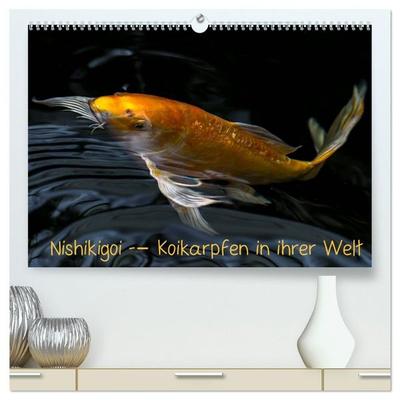 Nishikigoi – Koikarpfen in ihrer Welt (hochwertiger Premium Wandkalender 2027 DIN A2 quer), Kunstdruck in Hochglanz