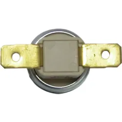 Reich Ersatzthermostat