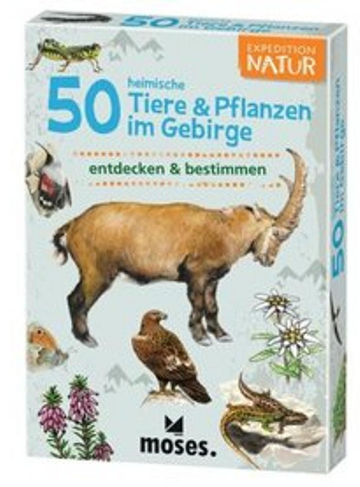 Sonstige Verlage Educatief Boek ISBN 4033477097620