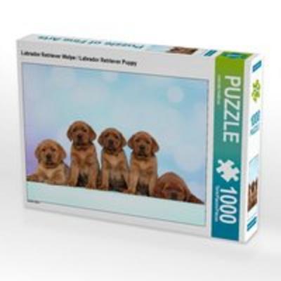 CALVENDO Puzzle Labrador Retriever Welpe / Labrador Retriever Puppy 1000 Teile Lege-Größe 64 x 48 cm Foto-Puzzle Bild von Jeanette Hutfluss