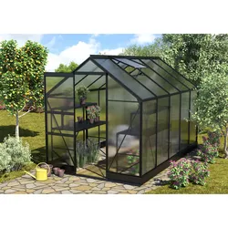 Vitavia Gewächshaus "Apollo 6200",schwarz,6,2 m2