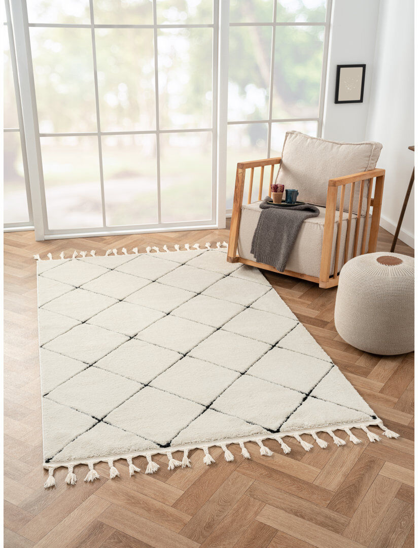 Brayden Studio Illumina Tapis white Rug Gray Rectangle 140 x 200cm