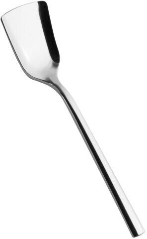 Salvinelli Cucchiaino Gelato 250