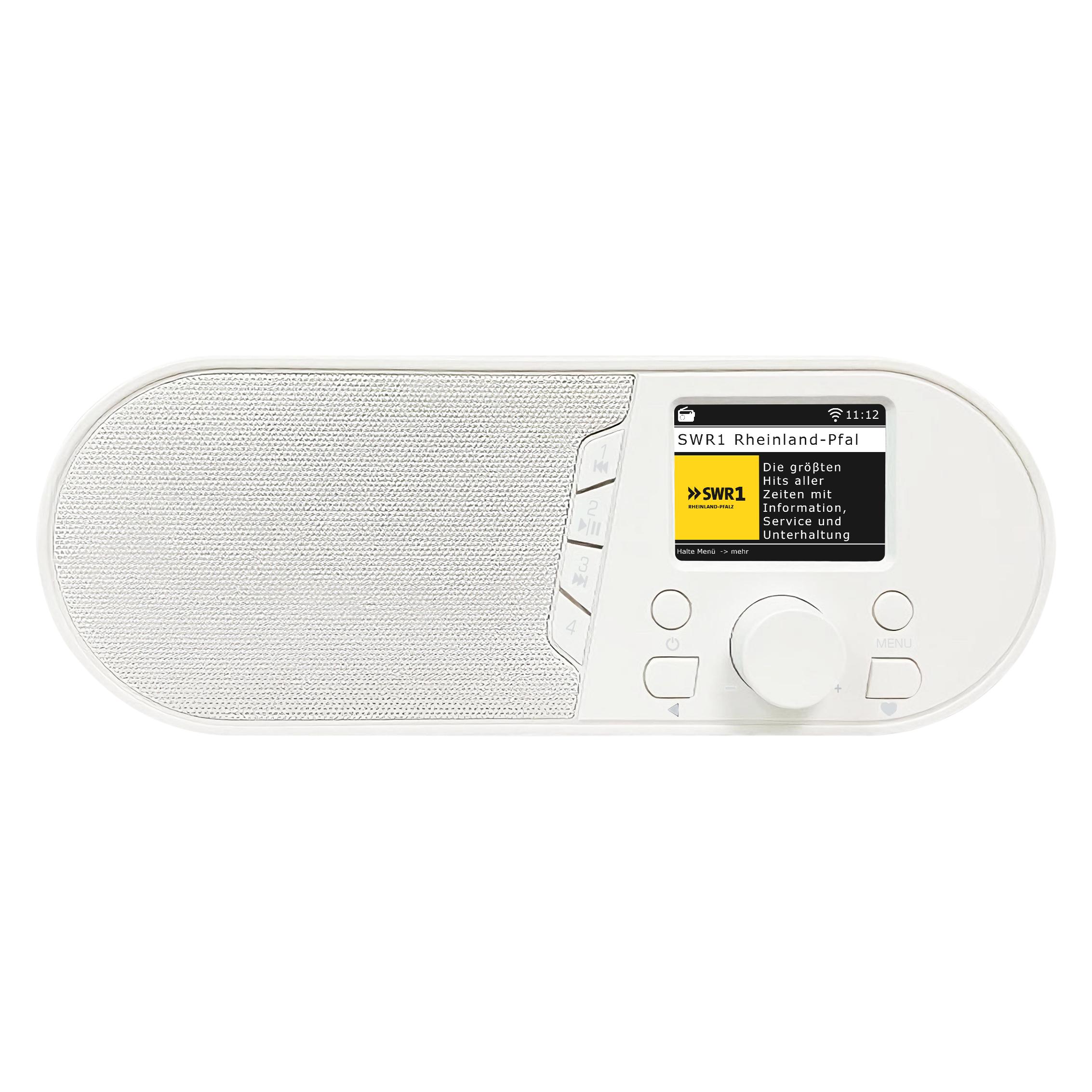 Telestar TOP IR 50 (Internetradio, Bluetooth, WLAN) (5720050)