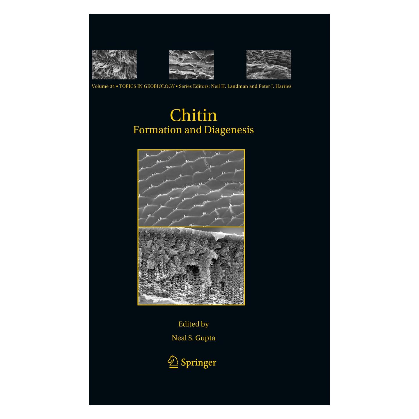 Springer Chitin (Englisch, Hardcover, Neal S. Gupta) (9789048196838)