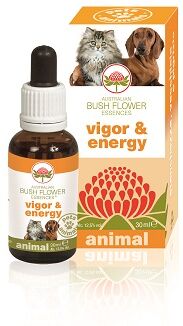 Vigor & Energy 30 Ml