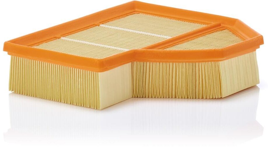 MANN-FILTER C 25 112 Air filter