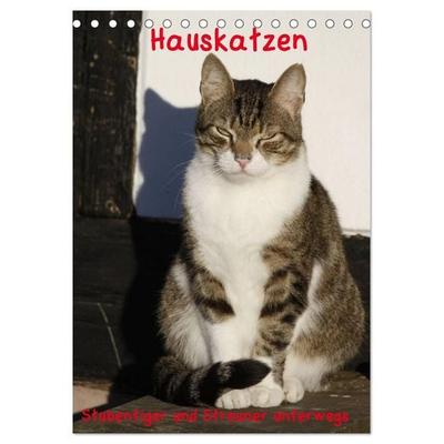 Hauskatzen (Tischkalender 2027 DIN A5 hoch), CALVENDO Monatskalender