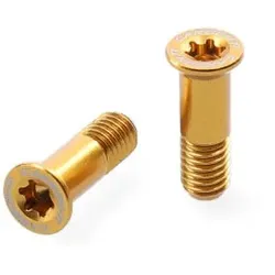 CARBON-TI Schaltwerkröllchenschrauben X-Jockey 16/16 gold