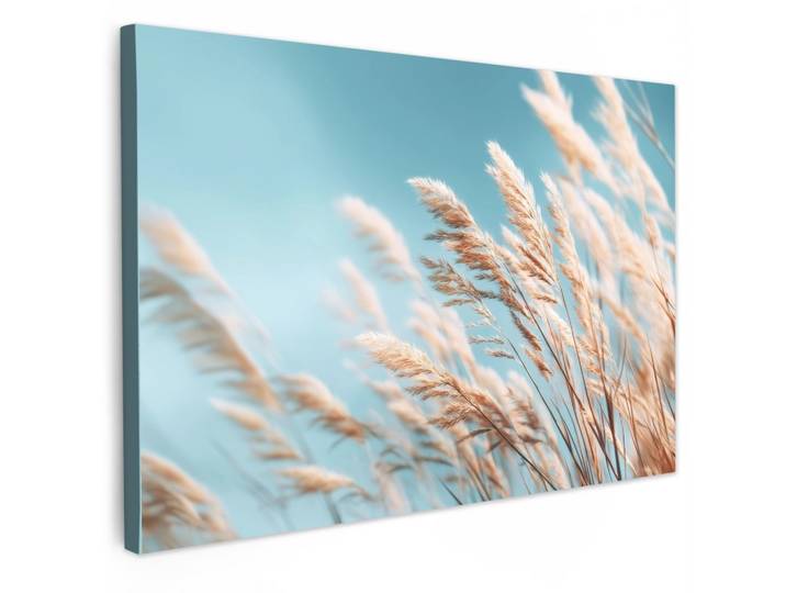LEINWANDBILD Ziergras - Wind - Hellbraun Gemälde 60x40 cm