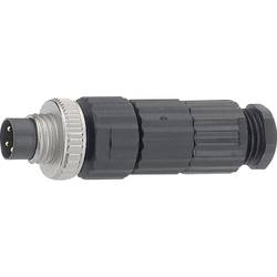 Hirschmann 933 406-100-100 Leitungsstecker Schwarz ELST 3008 V Ausführung (allgemein) gerade 100 St.