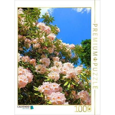 CALVENDO Puzzle Blühender Rhododendron, Südengland. Zitat: Dietrich Bonhoeffer, 1906-1945 | 1000 Teile Lege-Größe 64 × 48 cm Foto-Puzzle für