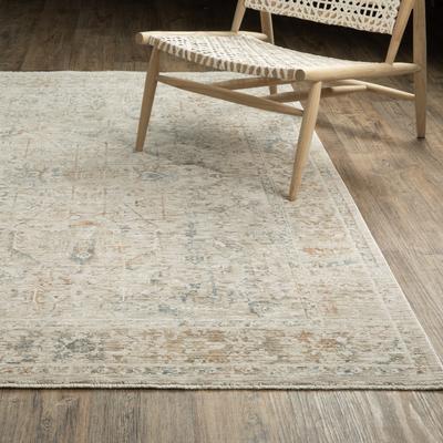 Style Haven Amira Distressed Traditional Beige/ Blue Area Rug