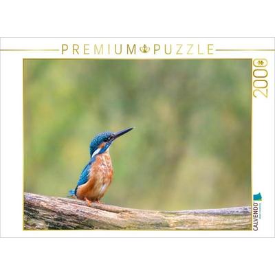 CALVENDO Puzzle Eisvogel auf seinem Ast | 2000 Teile Lege-Größe 90x67cm Foto-Puzzle für glückliche Stunden, Sonstige von , Calvendo Puzzle
