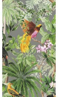 Harry & Grace Tropical Bird Peel and Stick Wallpaper