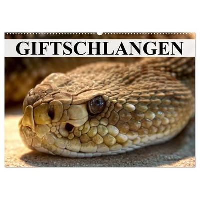 Giftschlangen (Wandkalender 2026 DIN A2 quer), CALVENDO Monatskalender