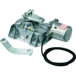 Came Frog Drehtorantrieb, 24V - Zubehör und Steuerung wählbar