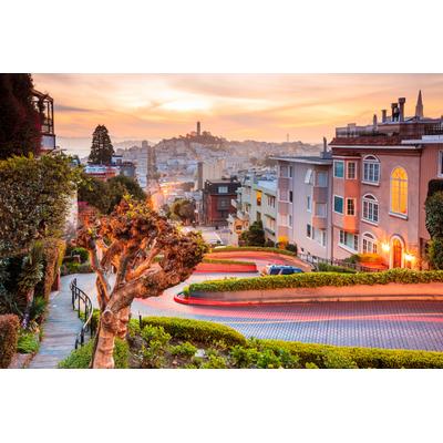 Fototapete PAPERMOON "Lombard Street in San Francisco", bunt, B:2m L:1,49m, Vlies, Tapeten