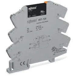 Wago 857-728 Solid-State-Relaismodul,Eingangsnennspannung AC/DC 230 V,Ausgangsspannungsbereich DC 0 ... 30 V,grau 857728