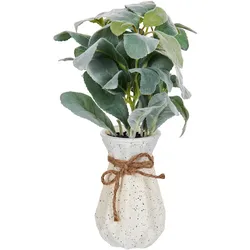 KÜNSTLICHE Topfpflanze 30 cm Grün/Schwarz Peperomia Argyreia