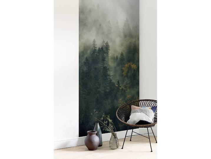 Papier peint Tales of the Carpathians I 100cm