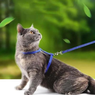 Uplift Treasures Escape Proof Cat And Dog Harness Set blue